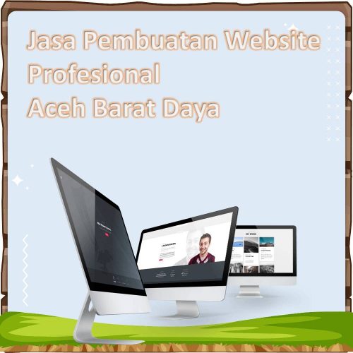 Jasa Pembuatan Website Aceh Barat Daya