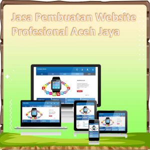 Jasa Pembuatan Website Aceh Jaya