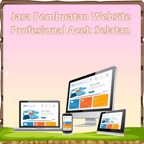 Jasa Pembuatan Website Aceh Selatan