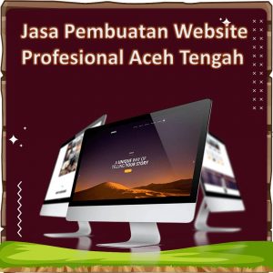 Jasa Pembuatan Website Aceh Tengah
