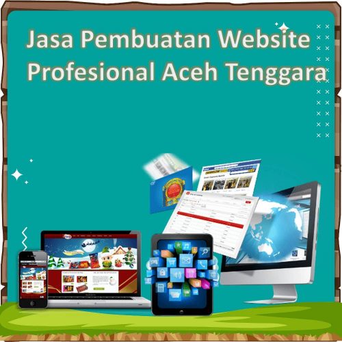 Jasa Pembuatan Website Aceh Tenggara