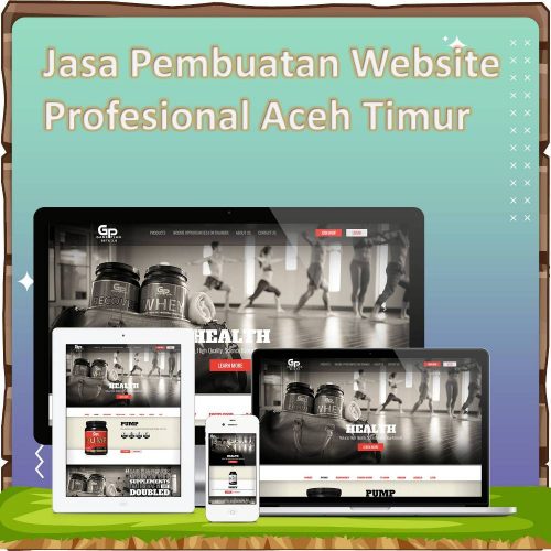 Jasa Pembuatan Website Aceh Timur