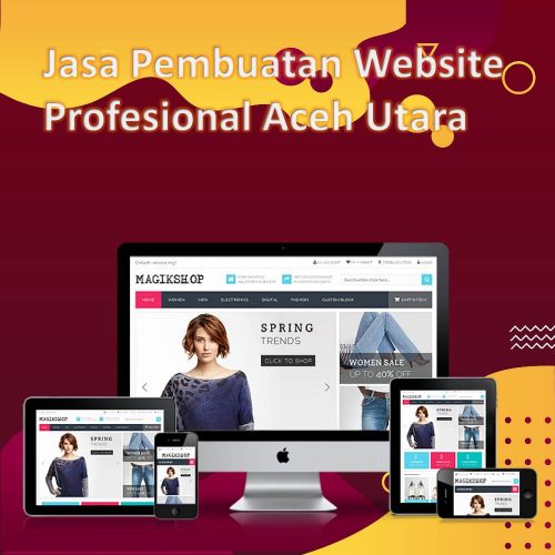 Jasa Pembuatan Website Aceh Utara