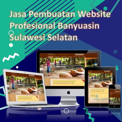 Jasa Pembuatan Website Banyuasin