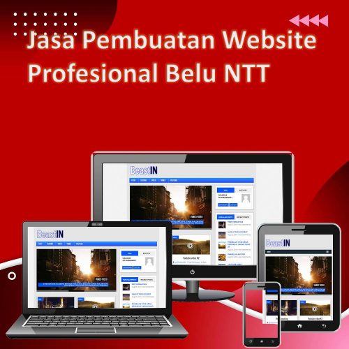 Jasa Pembuatan Website Belu