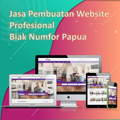 Jasa Pembuatan Website Biak Numfor