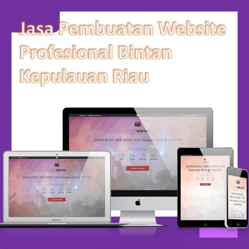 Jasa Pembuatan Website Bintan