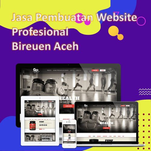 Jasa Pembuatan Website Bireuen