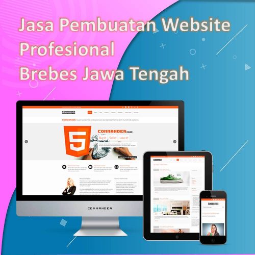 Jasa Pembuatan Website Brebes