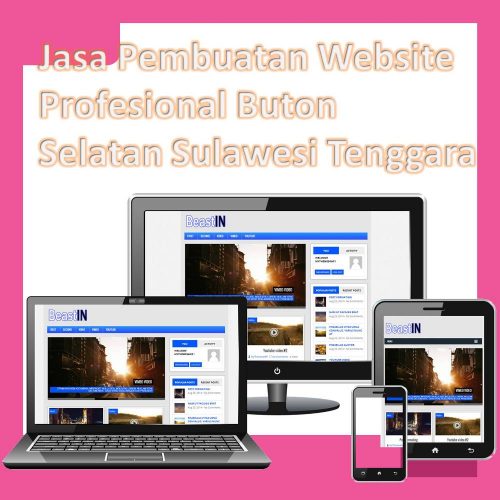 Jasa Pembuatan Website Buton Selatan