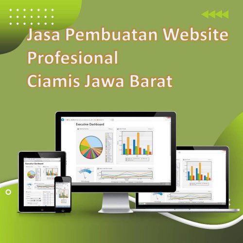 Jasa Pembuatan Website Ciamis