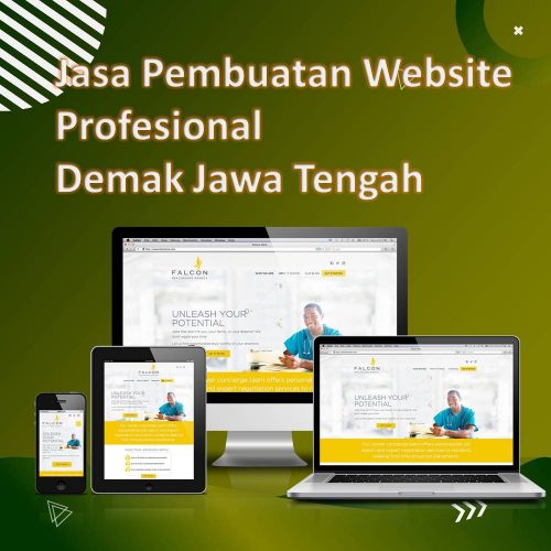 Jasa Pembuatan Website Demak