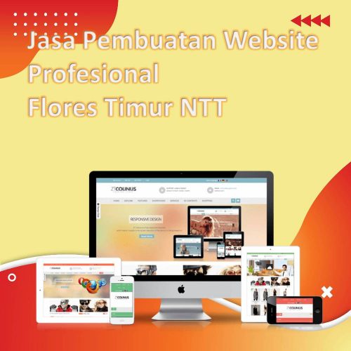 Jasa Pembuatan Website Flores Timur