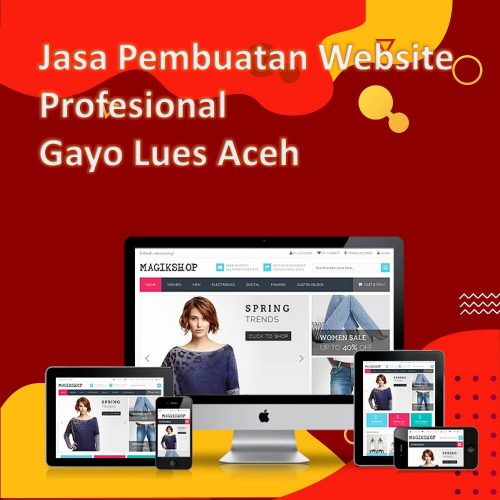 Jasa Pembuatan Website Gayo Lues