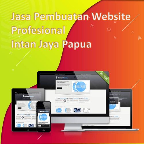 Jasa Pembuatan Website Intan Jaya