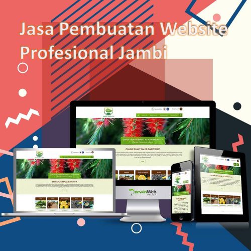 Jasa Pembuatan Website Jambi