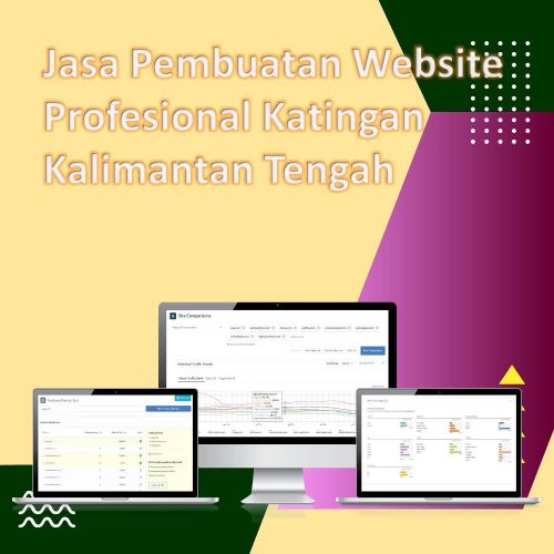 Jasa Pembuatan Website Katingan