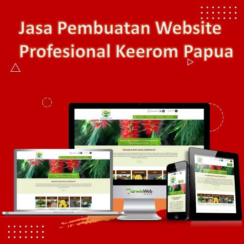 Jasa Pembuatan Website Keerom