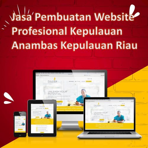 Jasa Pembuatan Website Kepulauan Anambas