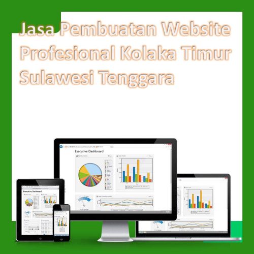 Jasa Pembuatan Website Kolaka Timur