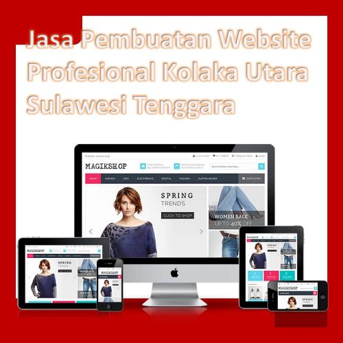 Jasa Pembuatan Website Kolaka Utara