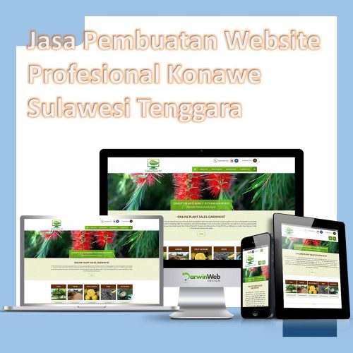 Jasa Pembuatan Website Konawe