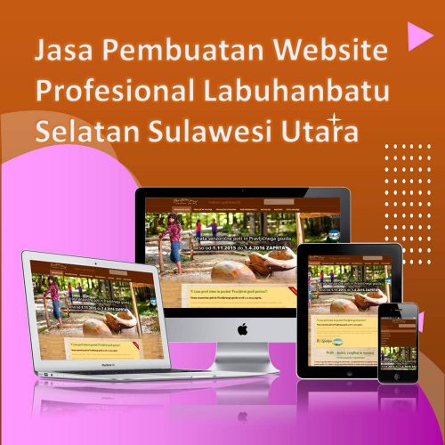 Jasa Pembuatan Website Labuhanbatu Selatan