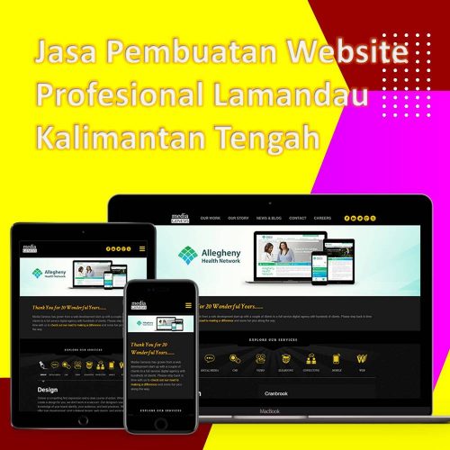 Jasa Pembuatan Website Lamandau