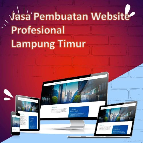 Jasa Pembuatan Website Lampung Timur