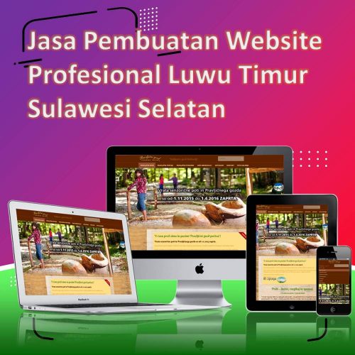 Jasa Pembuatan Website Luwu Timur