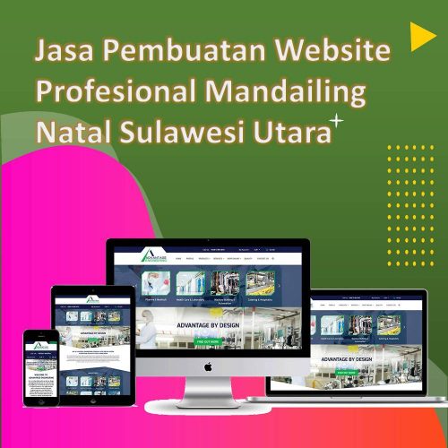 Jasa Pembuatan Website Mandailing Natal