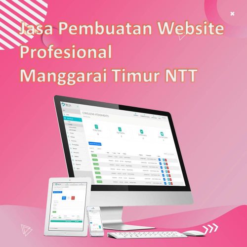 Jasa Pembuatan Website Manggarai Timur