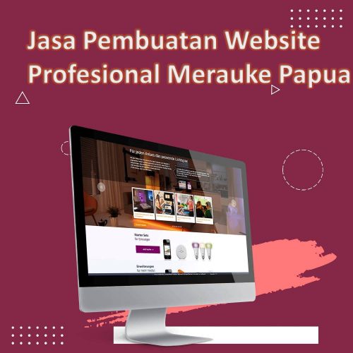 Jasa Pembuatan Website Merauke