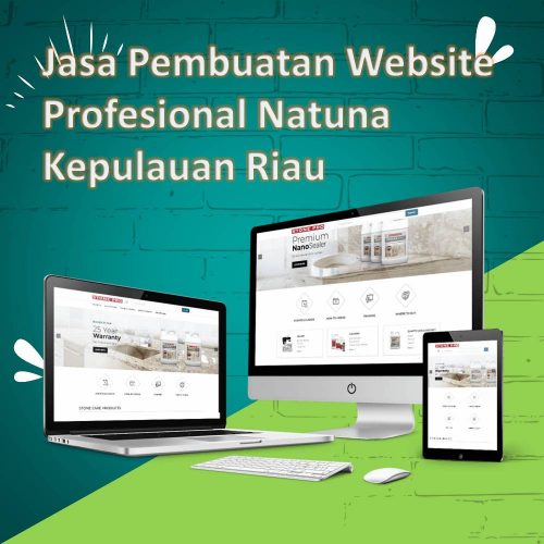 Jasa Pembuatan Website Natuna