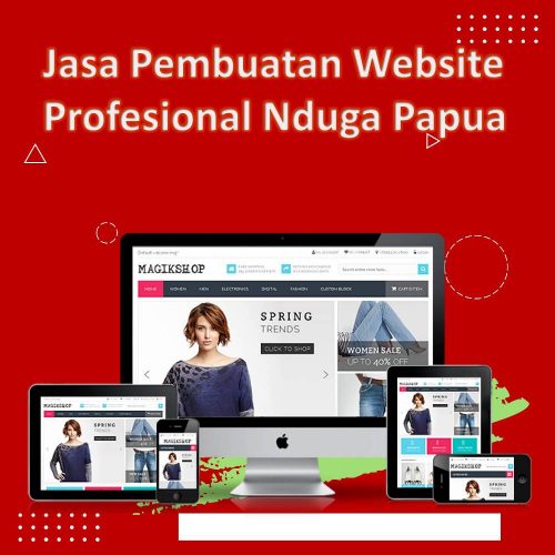 Jasa Pembuatan Website Nduga