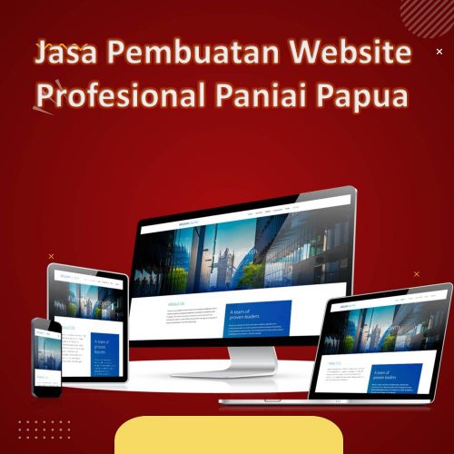 Jasa Pembuatan Website Paniai