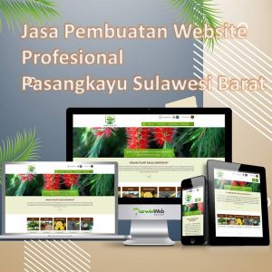 Jasa Pembuatan Website Pasangkayu