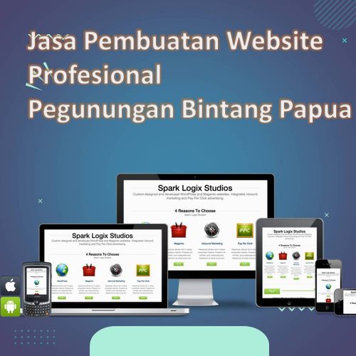 Jasa Pembuatan Website Pegunungan Bintang