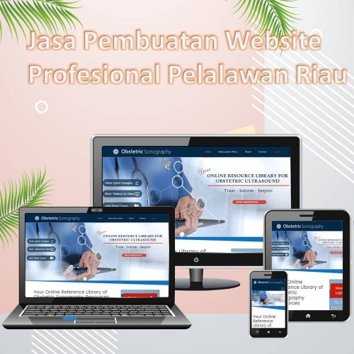 Jasa Pembuatan Website Pelalawan