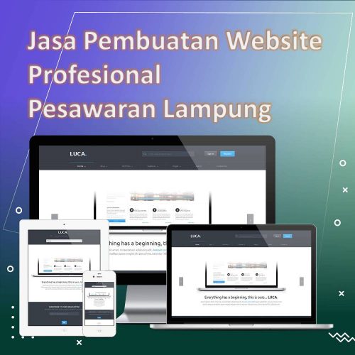 Jasa Pembuatan Website Pesawaran