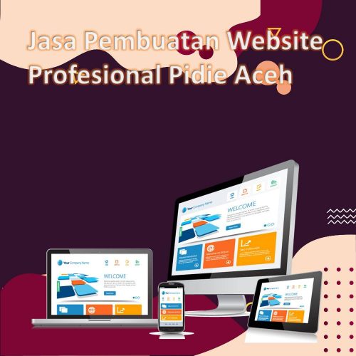 Jasa Pembuatan Website Pidie