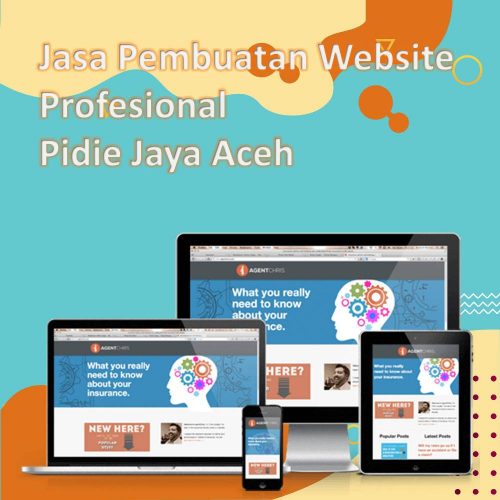 Jasa Pembuatan Website Pidie Jaya