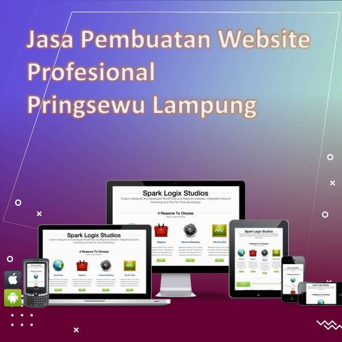 Jasa Pembuatan Website Pringsewu