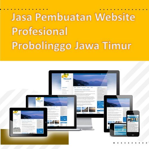 Jasa Pembuatan Website Probolinggo