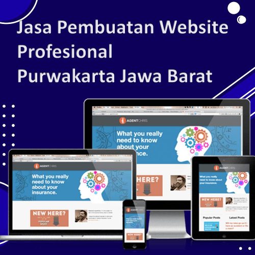 Jasa Pembuatan Website Purwakarta