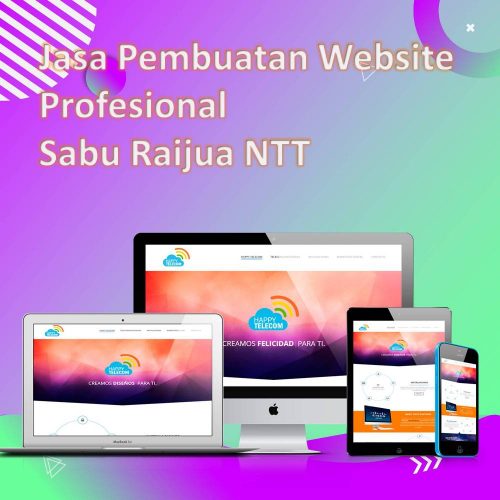 Jasa Pembuatan Website Sabu Raijua