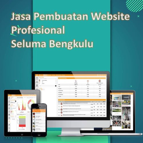 Jasa Pembuatan Website Seluma