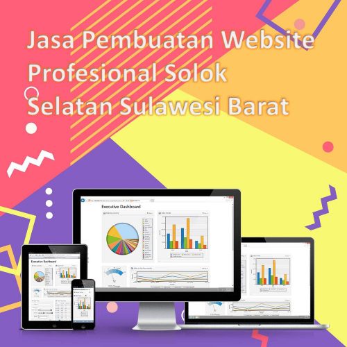 Jasa Pembuatan Website Solok Selatan