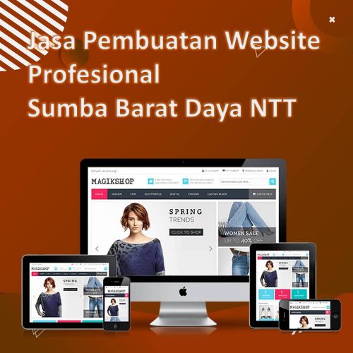 Jasa Pembuatan Website Sumba Barat Daya