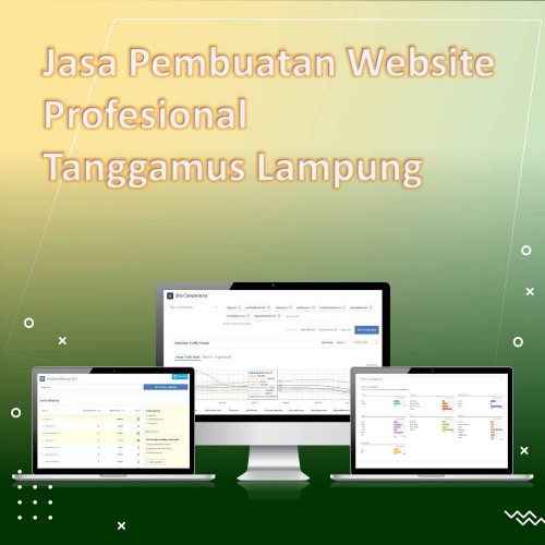 Jasa Pembuatan Website Tanggamus